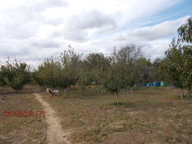 ������� ���� | Imot.bg � ����� ������ 8