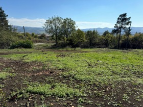 Plott Golemo Busjino, region Pernik 1