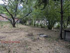 Satılık Komplo