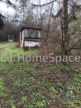 ����� ������� ������,���� �����, �����