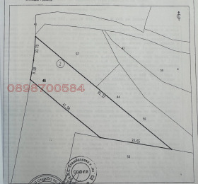 ����� ������� ������,�. ������, ������ ������