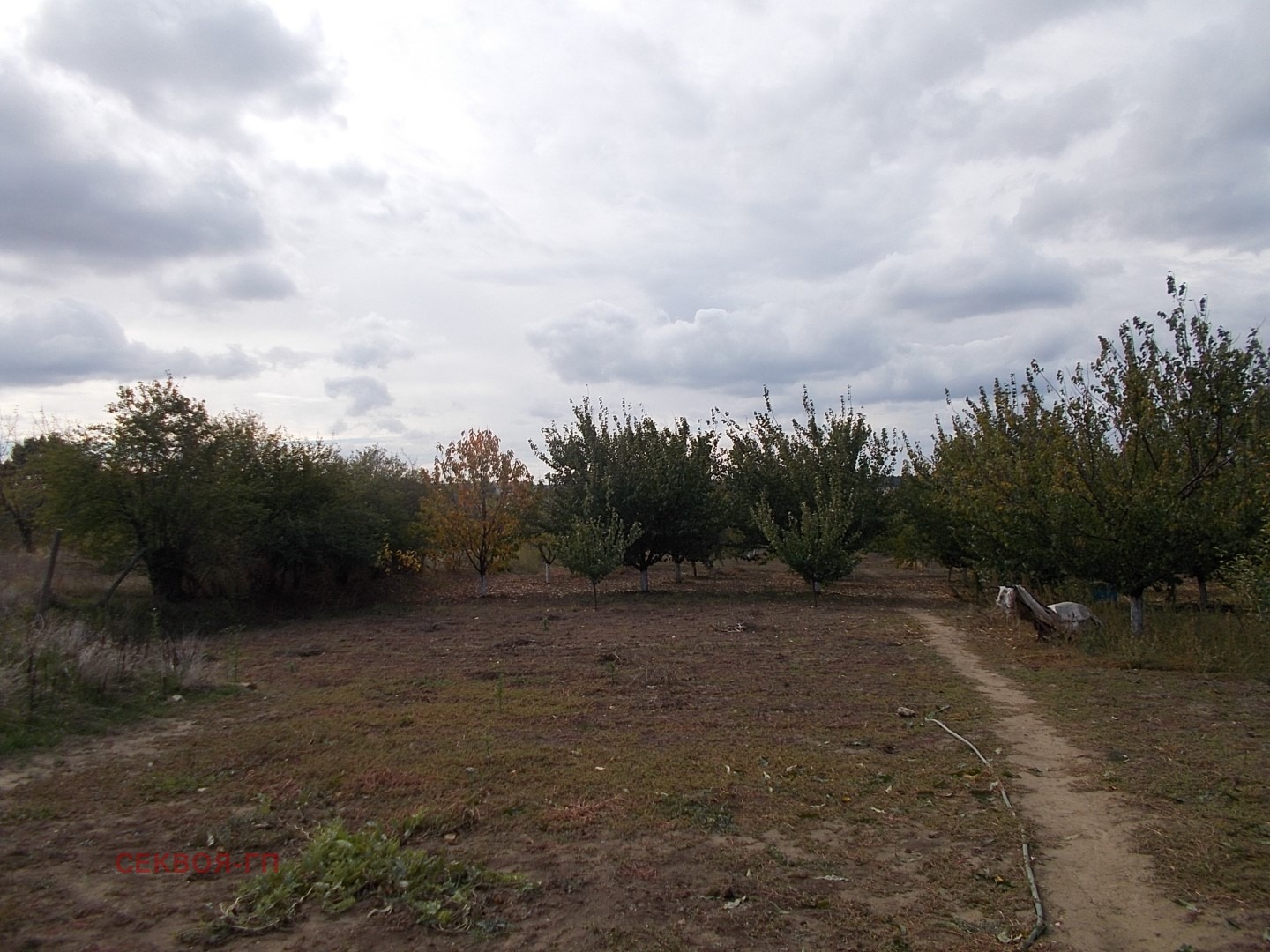Продава КЪЩА, с. Ведрина, област Добрич, снимка 3 - Къщи - 56636742