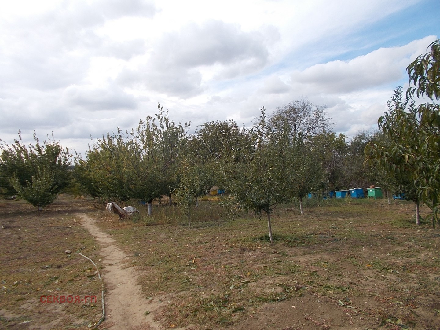 Продава КЪЩА, с. Ведрина, област Добрич, снимка 8 - Къщи - 56636742