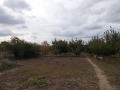 Продава КЪЩА, с. Ведрина, област Добрич, снимка 3