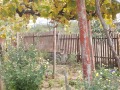 Продава  Къща област Добрич , с. Ведрина , 60 кв.м | 81307918 - изображение [13]