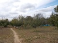 Продава  Къща област Добрич , с. Ведрина , 60 кв.м | 81307918 - изображение [8]