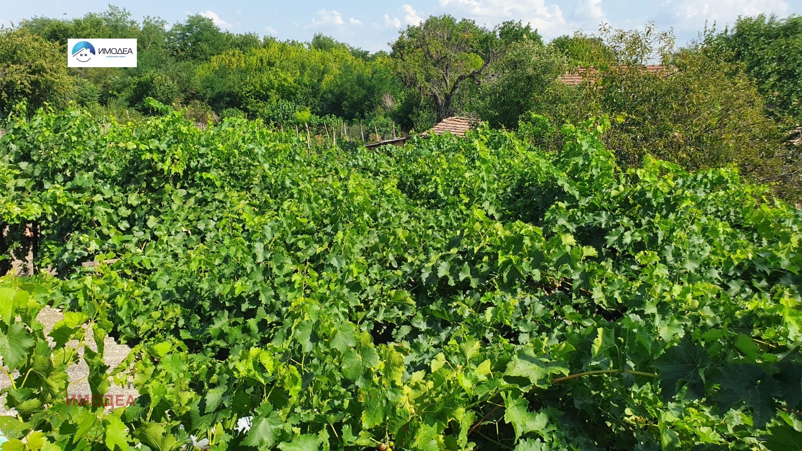 Продава КЪЩА | Imot.bg — изображение 10
