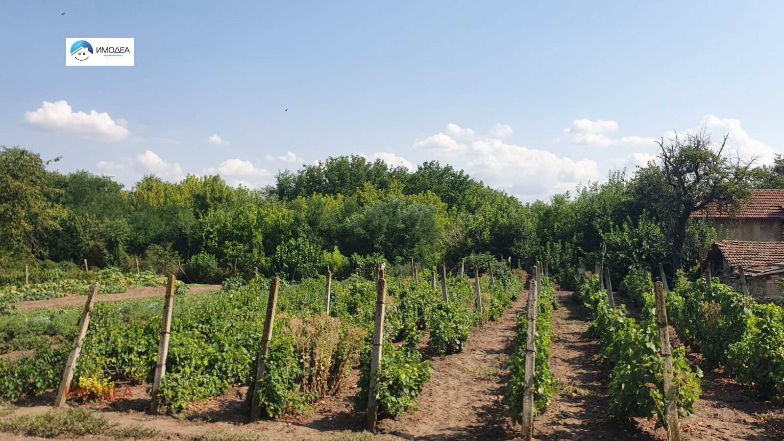 Продава КЪЩА | Imot.bg — изображение 12