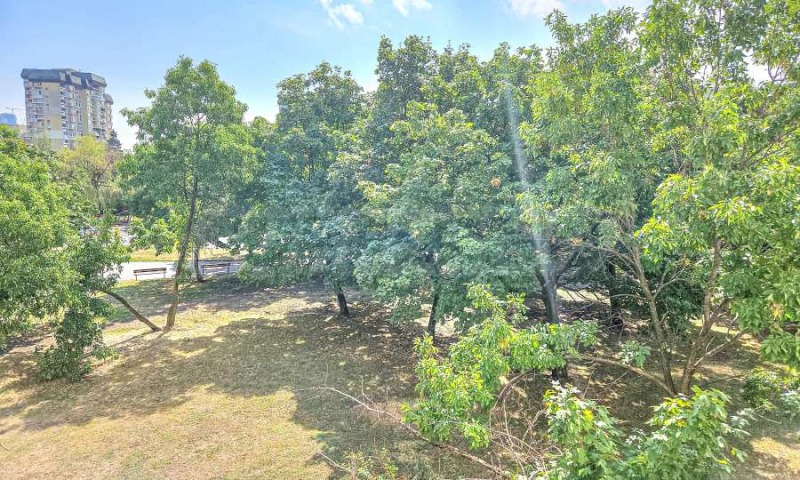 Продаја  1 спаваћа соба Софија , Младост 2 , 64 м2 | 79307448 - слика [2]