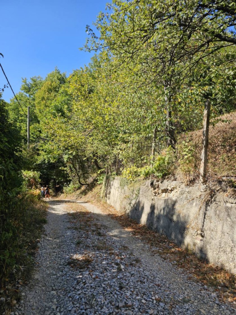 De vânzare  Casa Sofia , v.z.Cierniia cos , 30 mp | 44955728