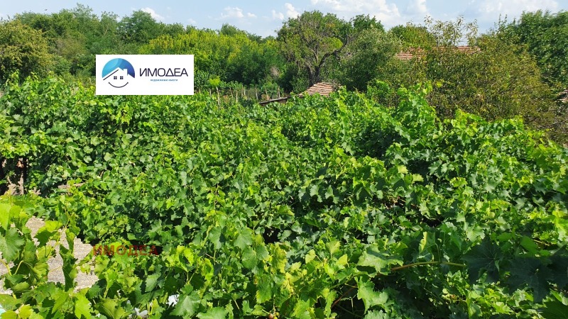 Продаја  Кућа регион Велико Тарново , Обединение , 155 м2 | 86954378 - слика [10]