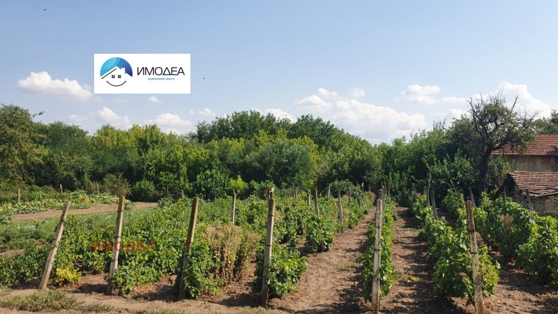 Продаја  Кућа регион Велико Тарново , Обединение , 155 м2 | 86954378 - слика [12]