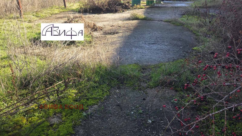 Продава СКЛАД, с. Григорево, област София област, снимка 8 - Складове - 52631902