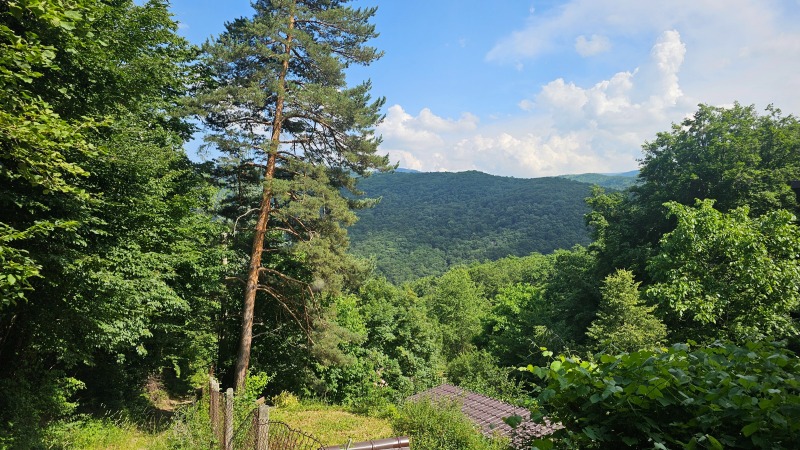 Продаја  Плот Софија , в.з.Чернија кос , 830 м2 | 87840320 - слика [6]