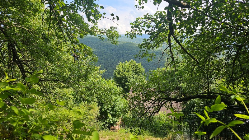 Продаја  Плот Софија , в.з.Чернија кос , 830 м2 | 87840320 - слика [7]