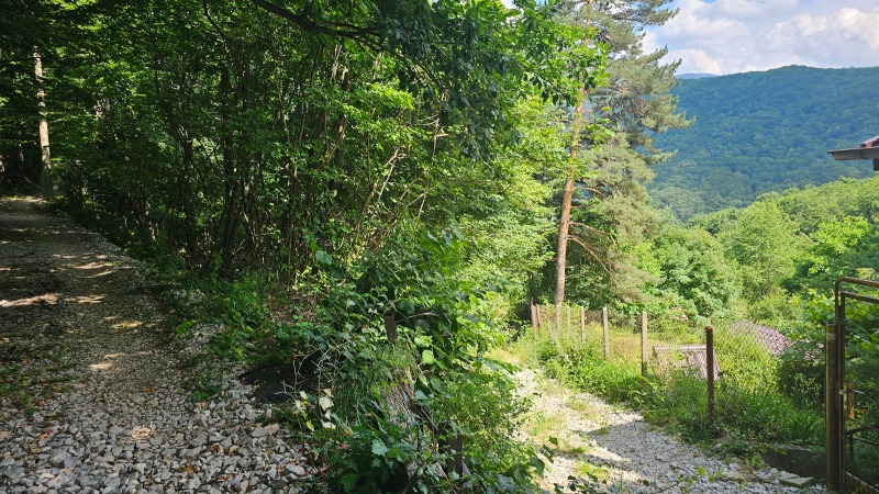 На продаж  Сюжет София , в.з.Черния кос , 830 кв.м | 87840320 - зображення [4]