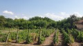 Продава КЪЩА, област Велико Търново, с. Обединение • 72000 лв. • 12496875 — Holmes.bg