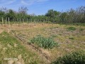 Продава КЪЩА, област Русе, с. Ново село • 89000 € / 174068.87 лв. • 75131488 16