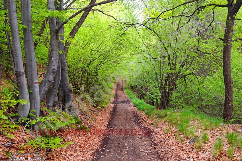 Продава ПАРЦЕЛ | Imot.bg — изображение 1