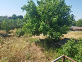 ������� ���� | Imot.bg � ����� ������ 12