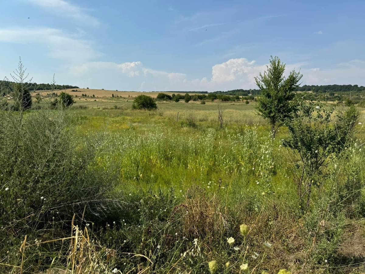 Продава ПАРЦЕЛ, с. Ерден, област Монтана, снимка 2 - Парцели - 54431482