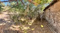 Продава  Къща област Пловдив , с. Езерово , 82 кв.м | 25907060 - изображение [11]