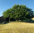 Продава  Къща област Монтана , с. Кобиляк , 247 кв.м | 81022521 - изображение [9]