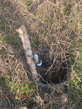 ����� ������� ������,���� ����, ���������>