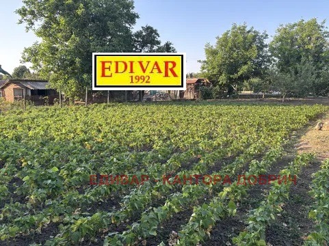 Продава КЪЩА, с. Методиево, област Добрич, снимка 9 - Къщи - 52989831