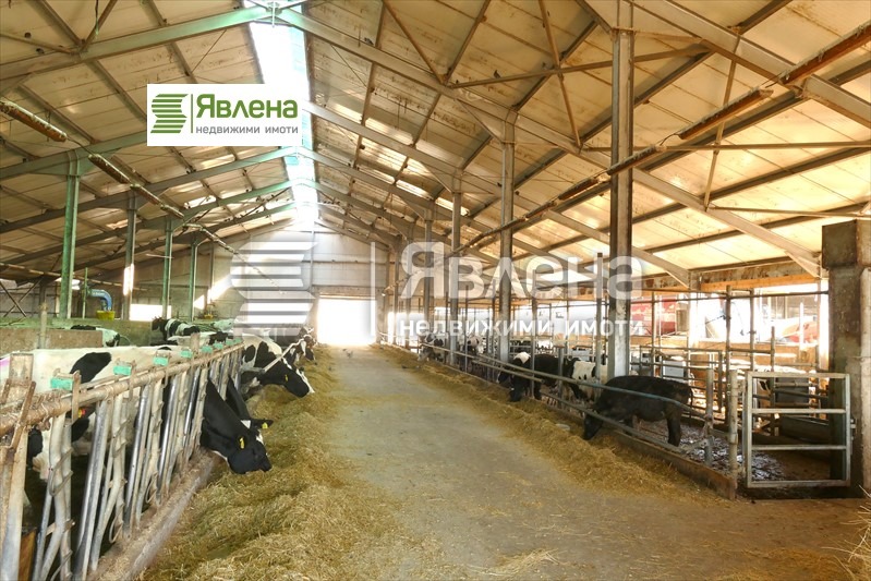 For Sale  Industrial building region Vratsa , Gorna Kremena , 11950 sq.m | 39054778
