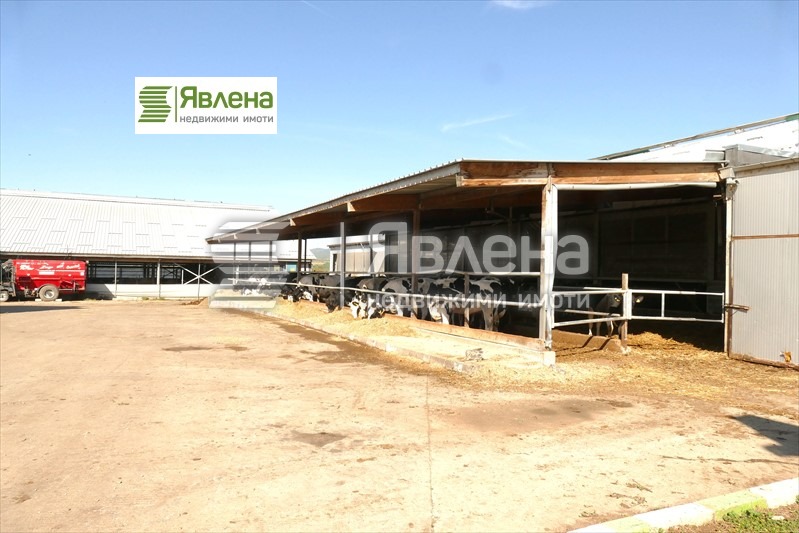 For Sale  Industrial building region Vratsa , Gorna Kremena , 11950 sq.m | 39054778 - image [4]