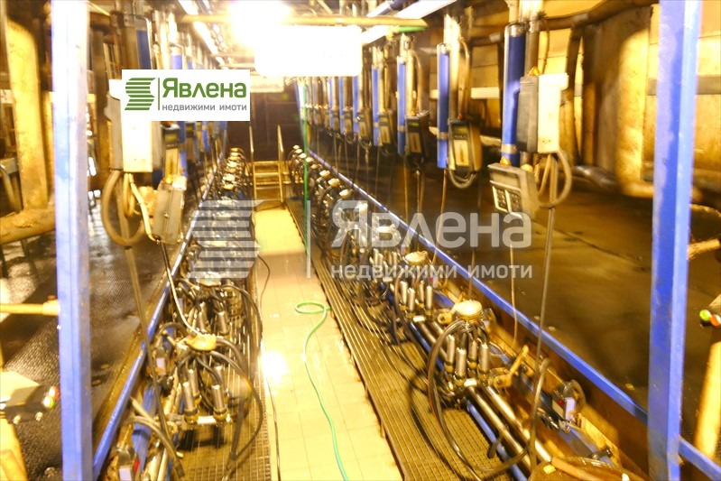 For Sale  Industrial building region Vratsa , Gorna Kremena , 11950 sq.m | 39054778 - image [13]