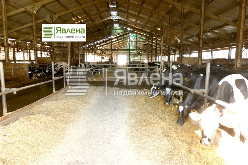 For Sale  Industrial building region Vratsa , Gorna Kremena , 11950 sq.m | 39054778 - image [10]