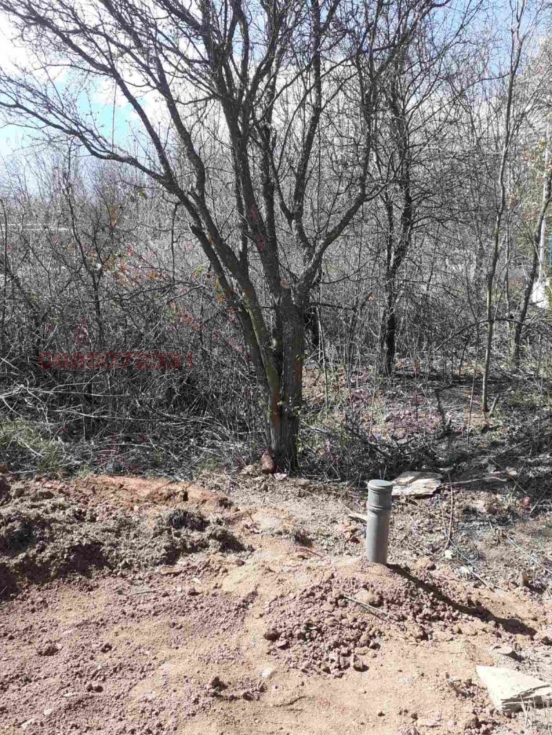 Продава ПАРЦЕЛ, с. Сулица, област Стара Загора, снимка 2 - Парцели - 52786269