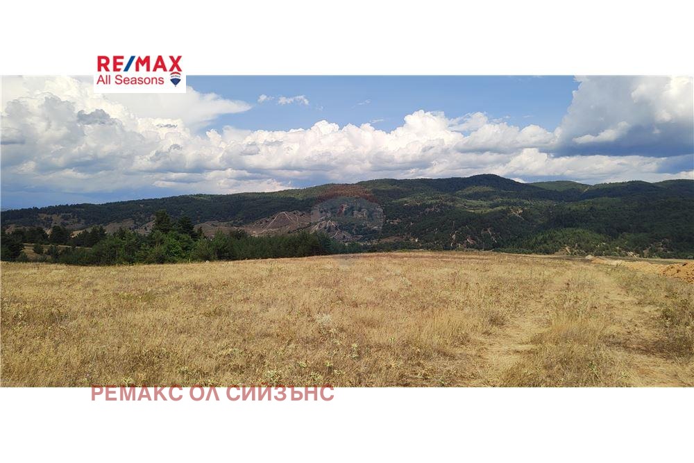 Продава ПАРЦЕЛ, с. Баня, област Благоевград, снимка 2 - Парцели - 51250040