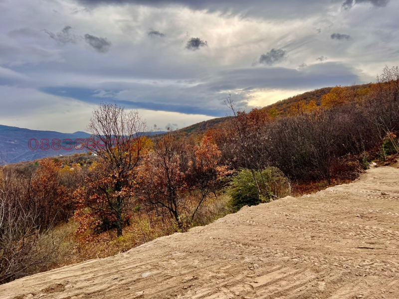 Продава ПАРЦЕЛ, с. Храбрино, област Пловдив, снимка 8 - Парцели - 53069121