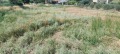 Продава ПАРЦЕЛ, Извън страната, област Извън страната, снимка 5