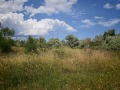 Продава ПАРЦЕЛ, к.к. Слънчев бряг, област Бургас, снимка 2