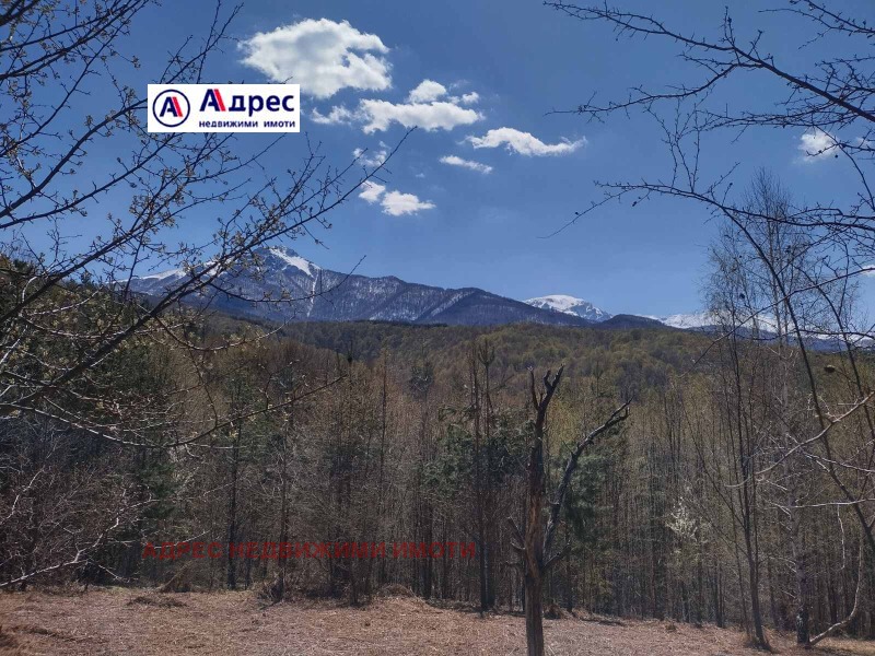 Продава ЗЕМЕДЕЛСКА ЗЕМЯ в област Ловеч, гр. Априлци - 15 дка / 25 000 € » 48 895.75 лв., АДРЕС НЕДВИЖИМИ ИМОТИ