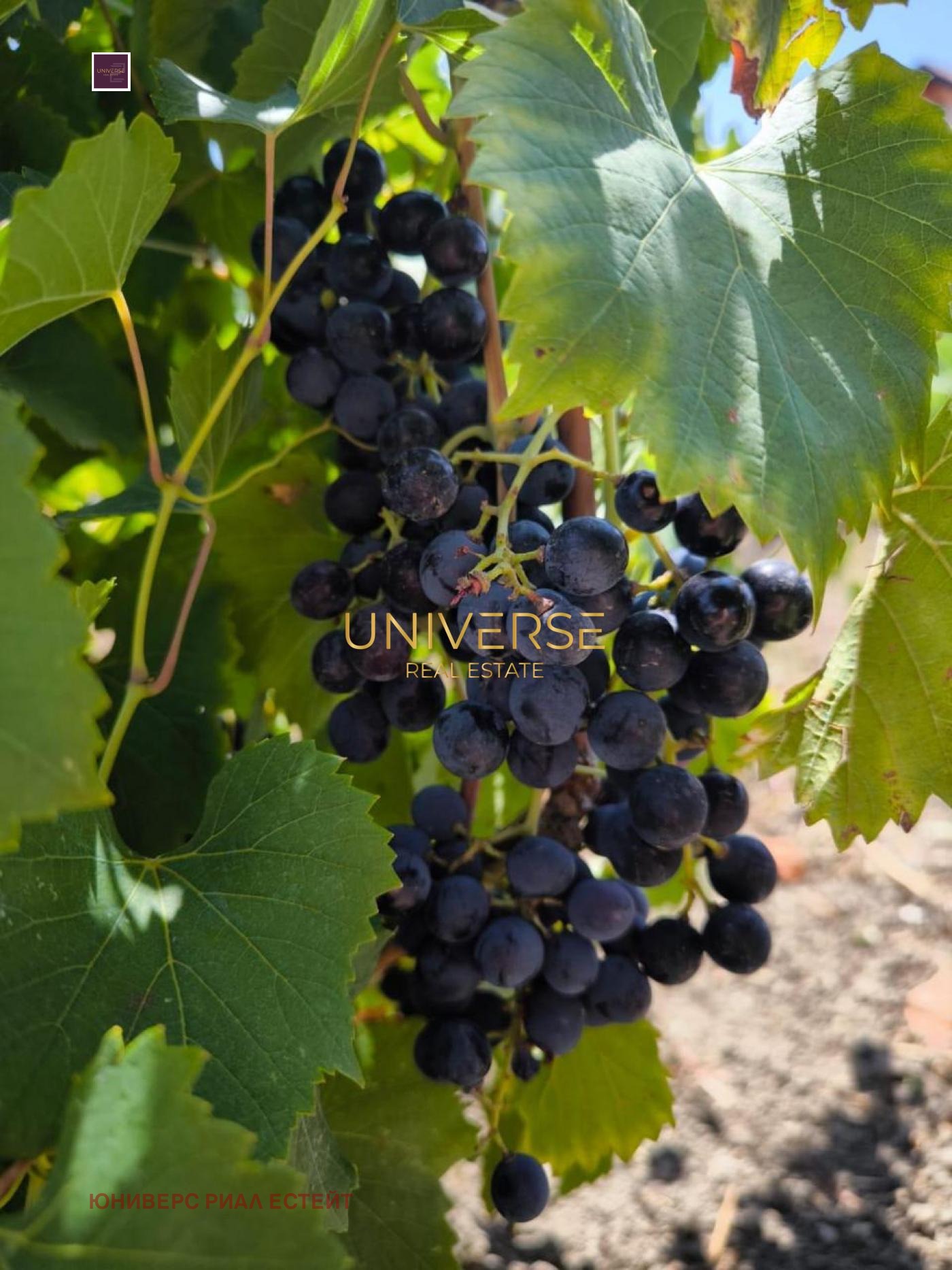 ������� 3-����� | Imot.bg � ����������� 11