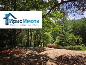 ������� ���� | Imot.bg � ����� ������ 7