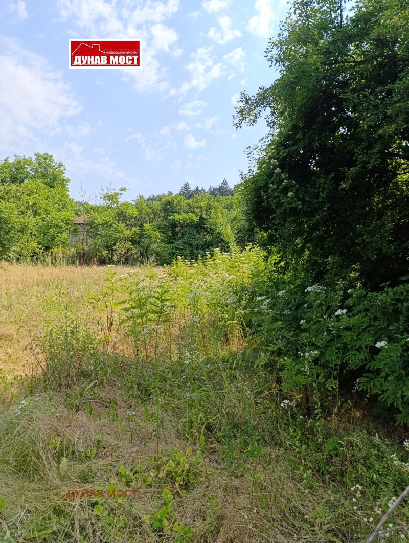 Продава  Къща област Русе , с. Батишница , 65 кв.м | 81278594 - изображение [5]