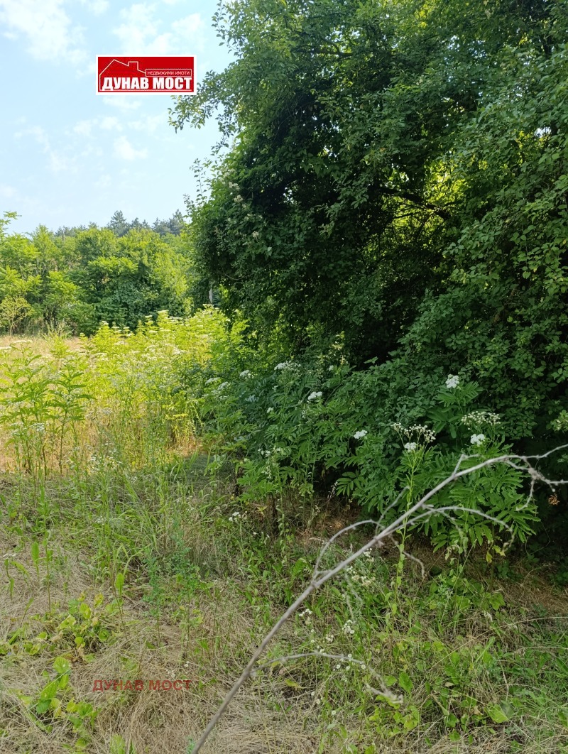 Продава  Къща област Русе , с. Батишница , 65 кв.м | 81278594 - изображение [6]