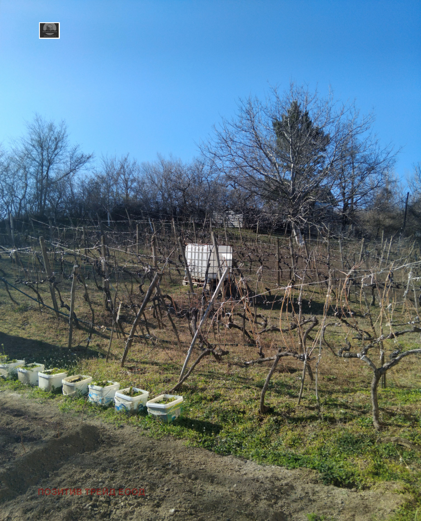 ������� ���� | Imot.bg � ����������� 9