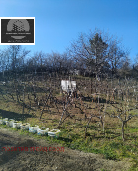 ������� ���� | Imot.bg � ����� ������ 9