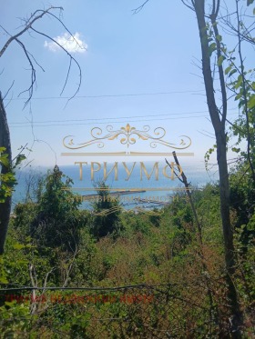 ������� ������ | Imot.bg � ����� ������ 3