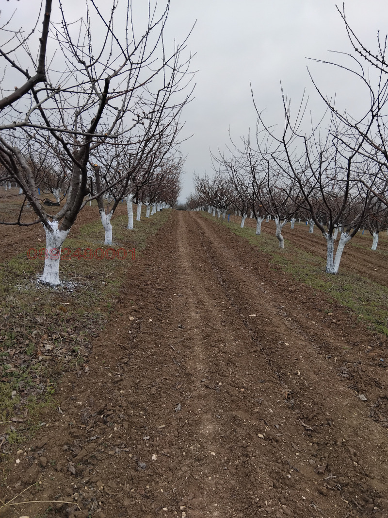 Продава ЗЕМЕДЕЛСКА ЗЕМЯ, с. Брестовица, област Пловдив