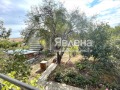 Продава КЪЩА, област Бургас, с. Дюлево • 110000 € • 58152836 — Holmes.bg