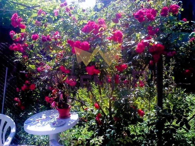 ������� ���� | Imot.bg � ����������� 6