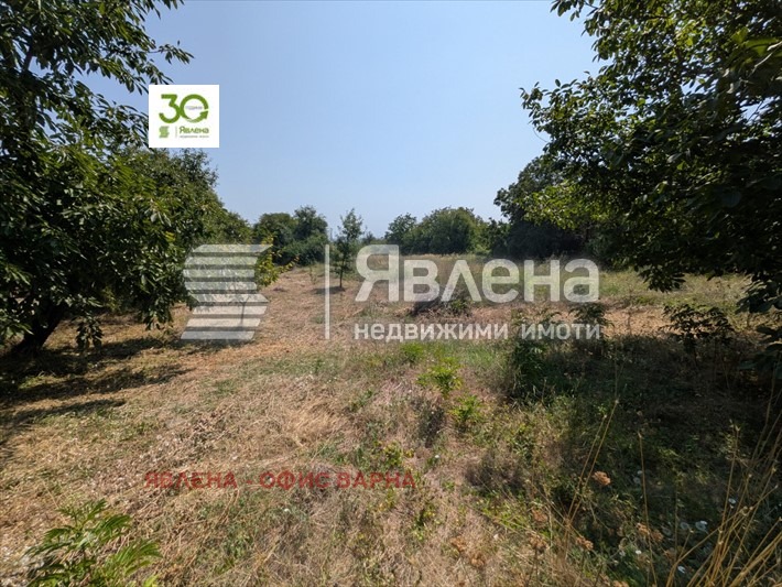 ������� ������ | Imot.bg � ����������� 2